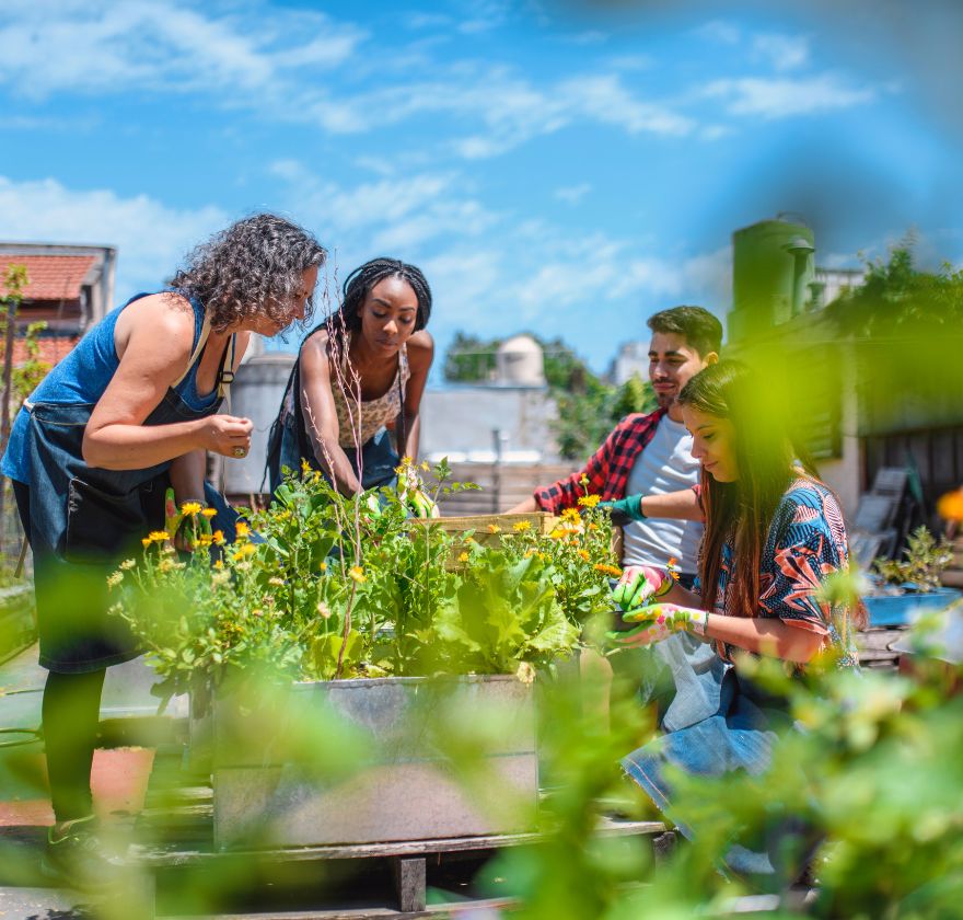 Psychosocial hazard kit for community services and not-for-profits — volunteers working together in a community garden